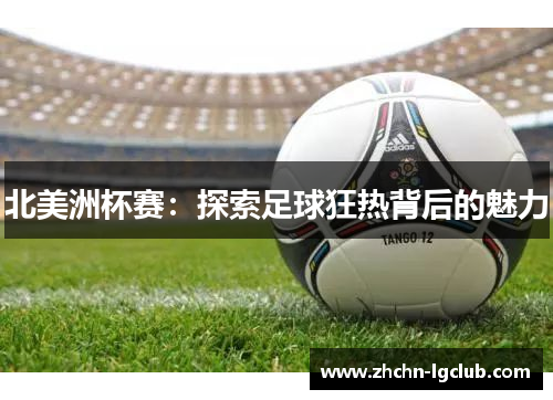 北美洲杯赛：探索足球狂热背后的魅力