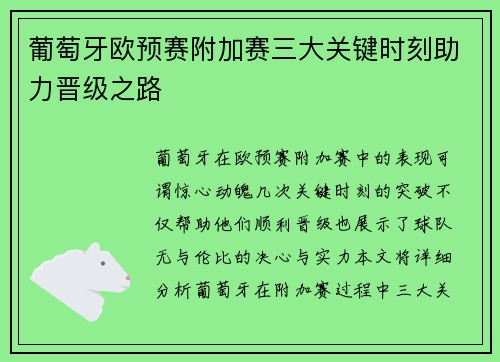 葡萄牙欧预赛附加赛三大关键时刻助力晋级之路 葡萄牙欧预赛附加赛三大关键时刻助力晋级之路