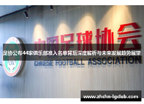 足协公布44家俱乐部准入名单背后深度解析与未来发展趋势展望