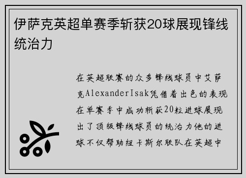 伊萨克英超单赛季斩获20球展现锋线统治力 伊萨克英超单赛季斩获20球展现锋线统治力